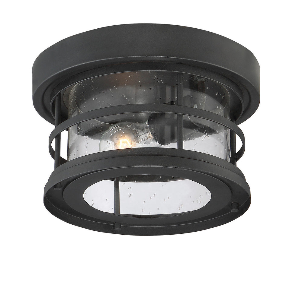 Savoy House Barrett 1-Light Outdoor Flush Mount - Model 5-369-10-BK
