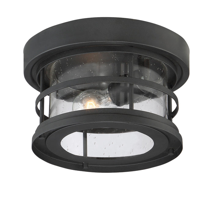 Savoy House Barrett 1-Light Outdoor Flush Mount - Model 5-369-10-BK