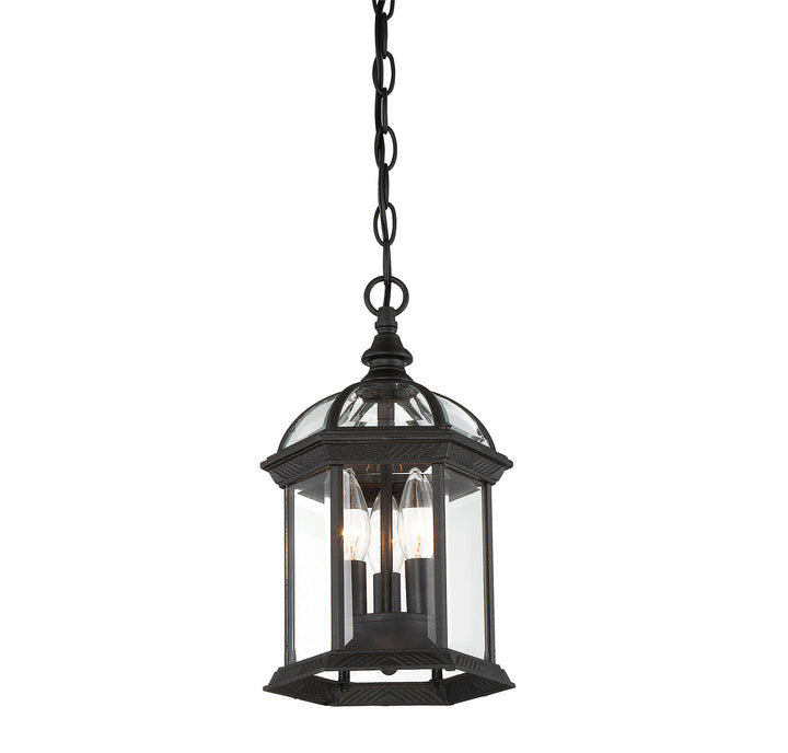 Savoy House Kensington 3-Light Outdoor Hanging Lantern - Model 5-0635-BK