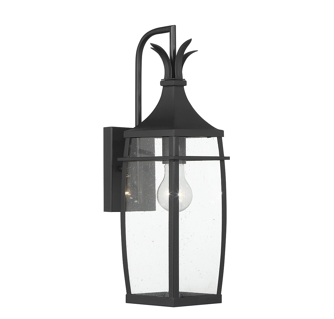 Savoy House Montpelier Outdoor Wall Lantern in Matte Black