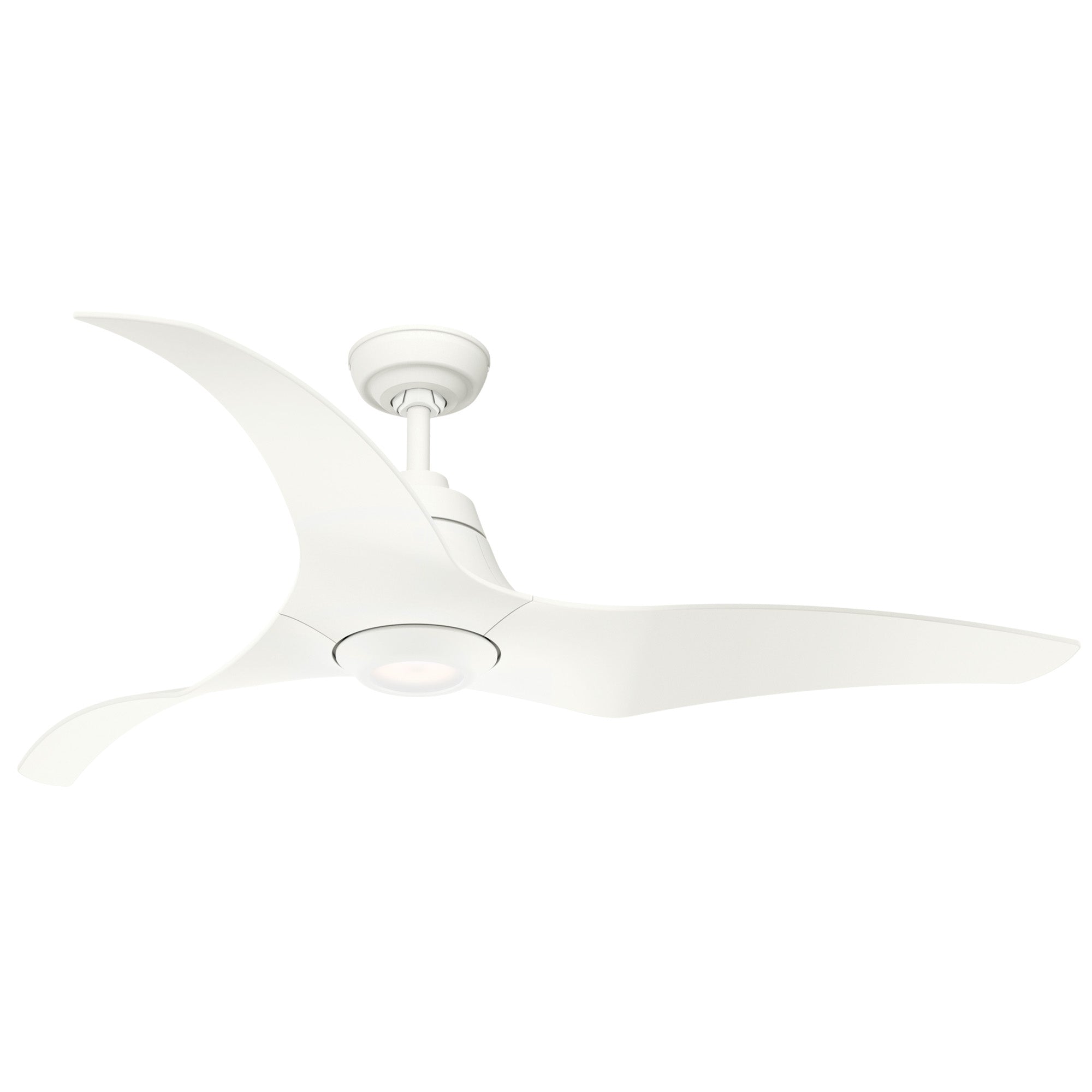 Hunter 60 inch Arwen Damp Rated Ceiling Fan with LED Light Kit and Handheld Remote Ceiling Fan Hunter   
