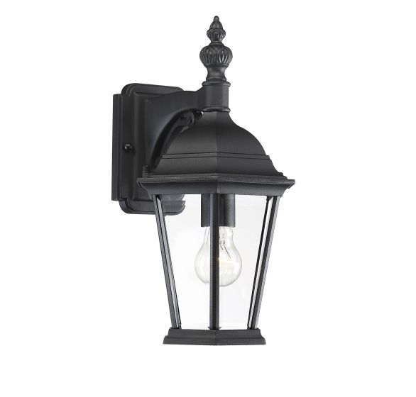 Savoy House Meridian Outdoor | Wall Lantern