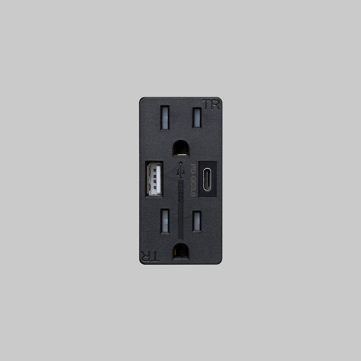 Buster + Punch DUPLEX OUTLET MODULE + 2 USB - A + C