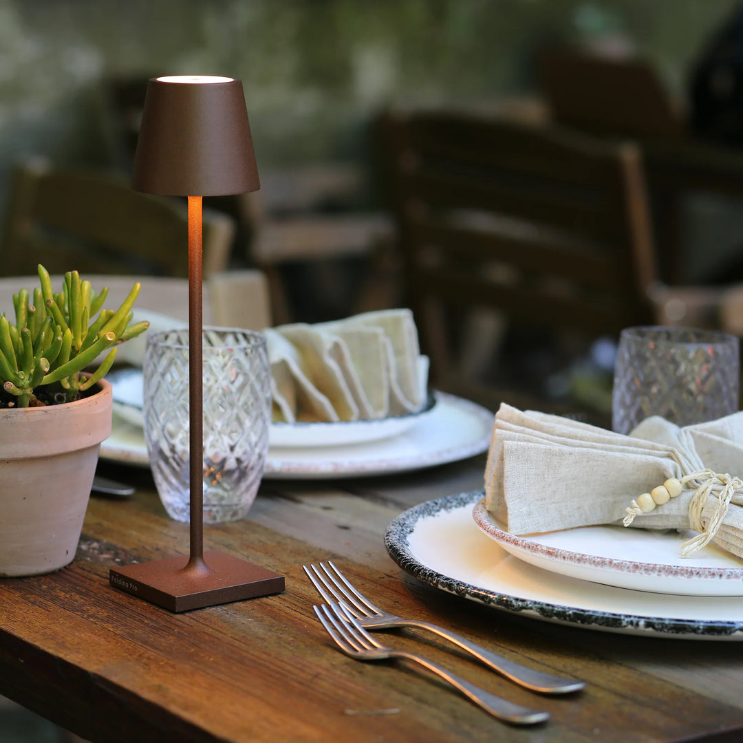 Zafferano Poldina Pro Micro in Rust