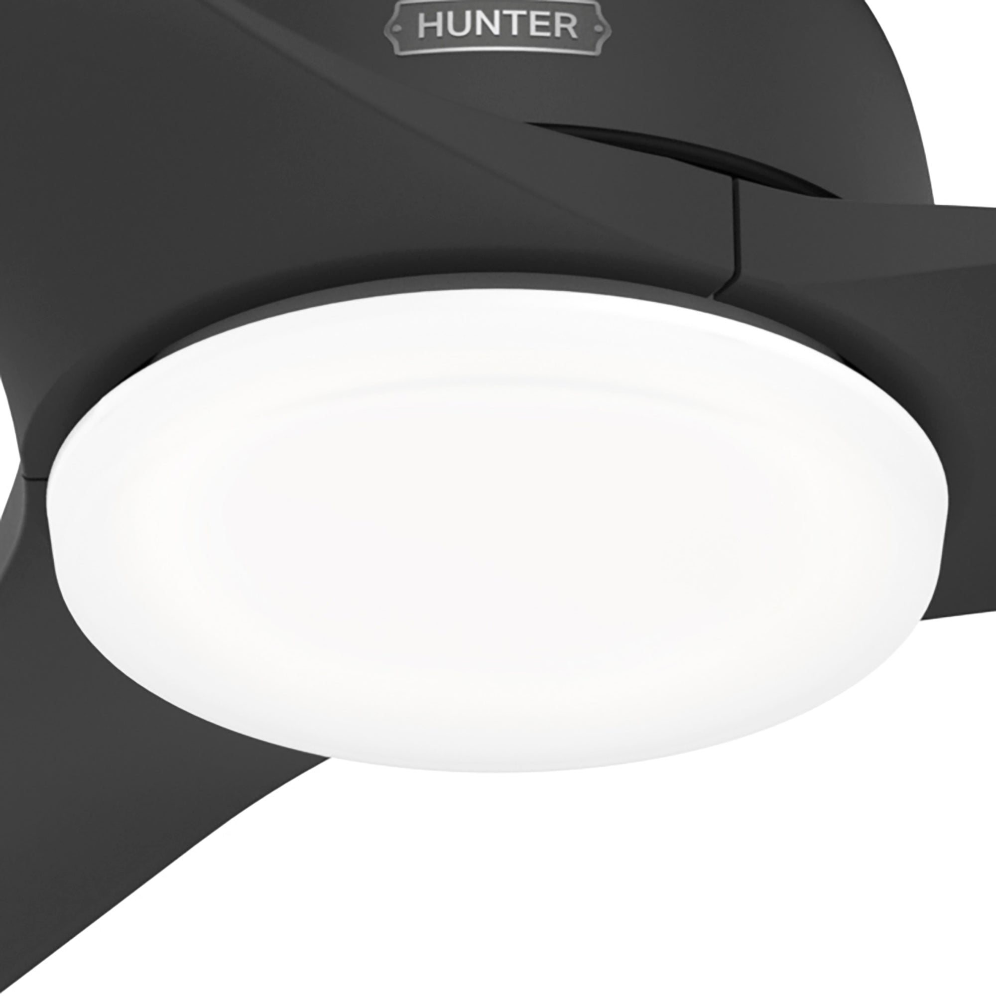 Hunter 52 inch Gallegos Damp Rated Ceiling Fan and Wall Control Ceiling Fan Hunter Matte Black Matte Black / Matte Black Painted Cased White