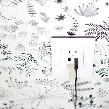 Adorne Dual USB Plus-Size Outlet Combo