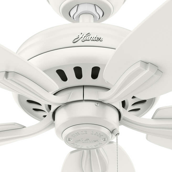 Hunter 52 inch Newsome Ceiling Fan