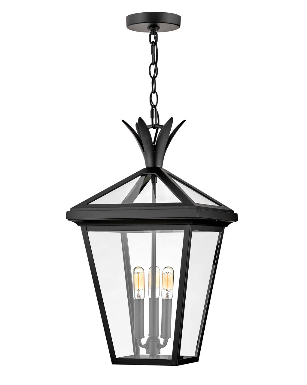 OUTDOOR PALMA Hanging Lantern Outdoor Light Fixture l Hanging Hinkley Black 12.0x12.0x21.5 