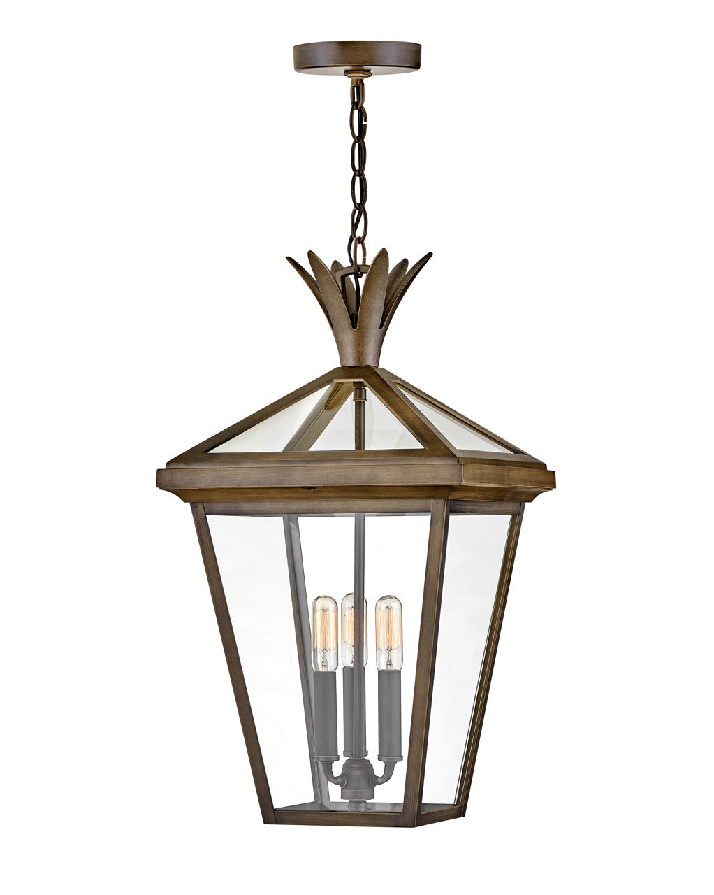 OUTDOOR PALMA Hanging Lantern Outdoor Light Fixture l Hanging Hinkley Burnished Bronze 12.0x12.0x21.5 