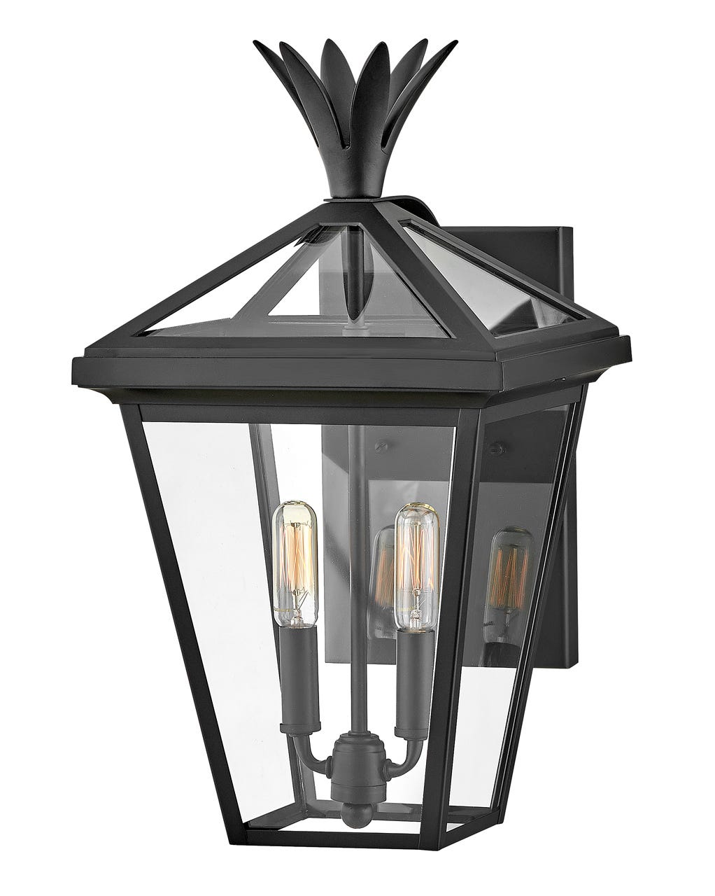 OUTDOOR PALMA Wall Mount Lantern Outdoor Wall Lights Hinkley Black 12.0x10.0x18.0