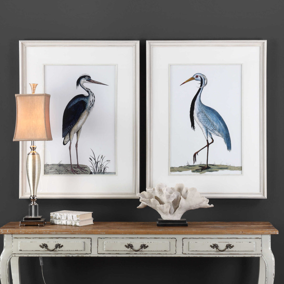 Uttermost Shore Birds Framed Prints S/2 Wall Decor Uttermost   