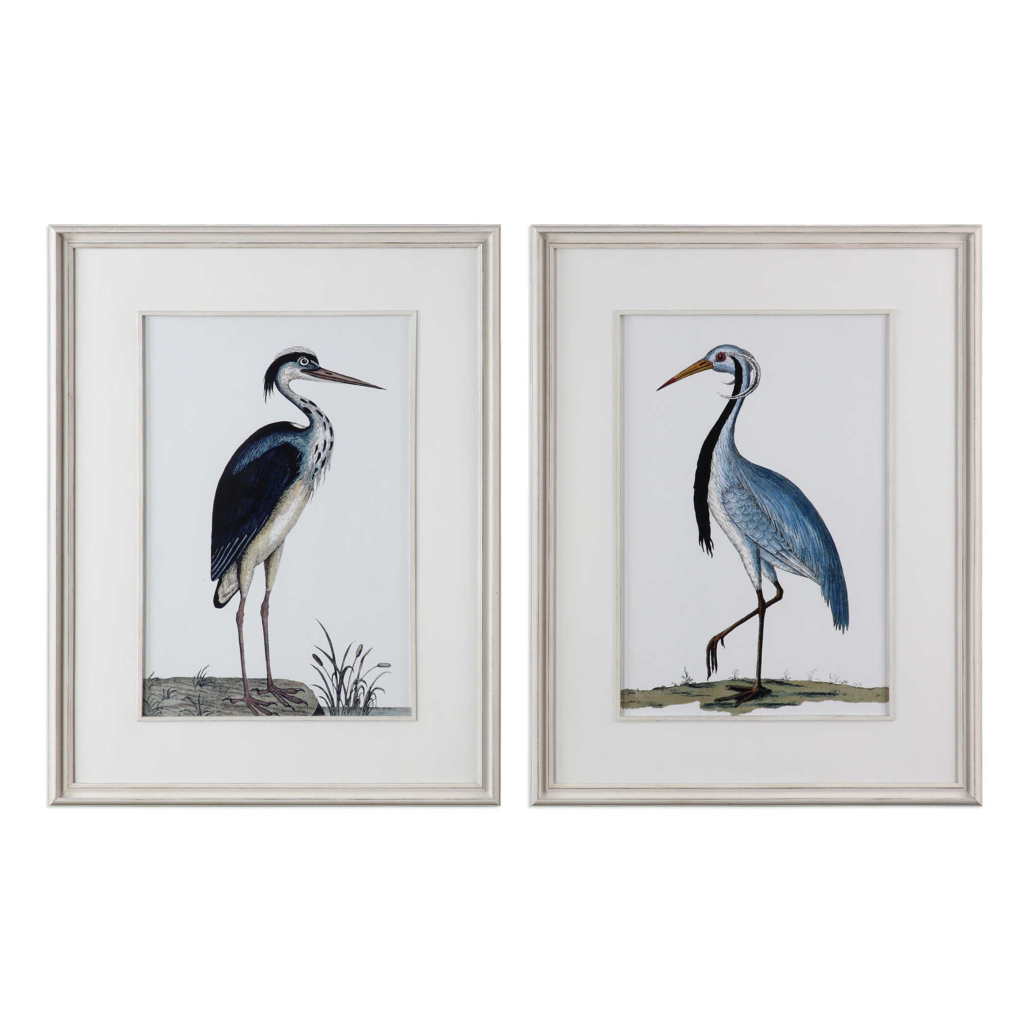 Uttermost Shore Birds Framed Prints S/2 Décor/Home Accent Uttermost PINE, GLASS, KT BOARD  