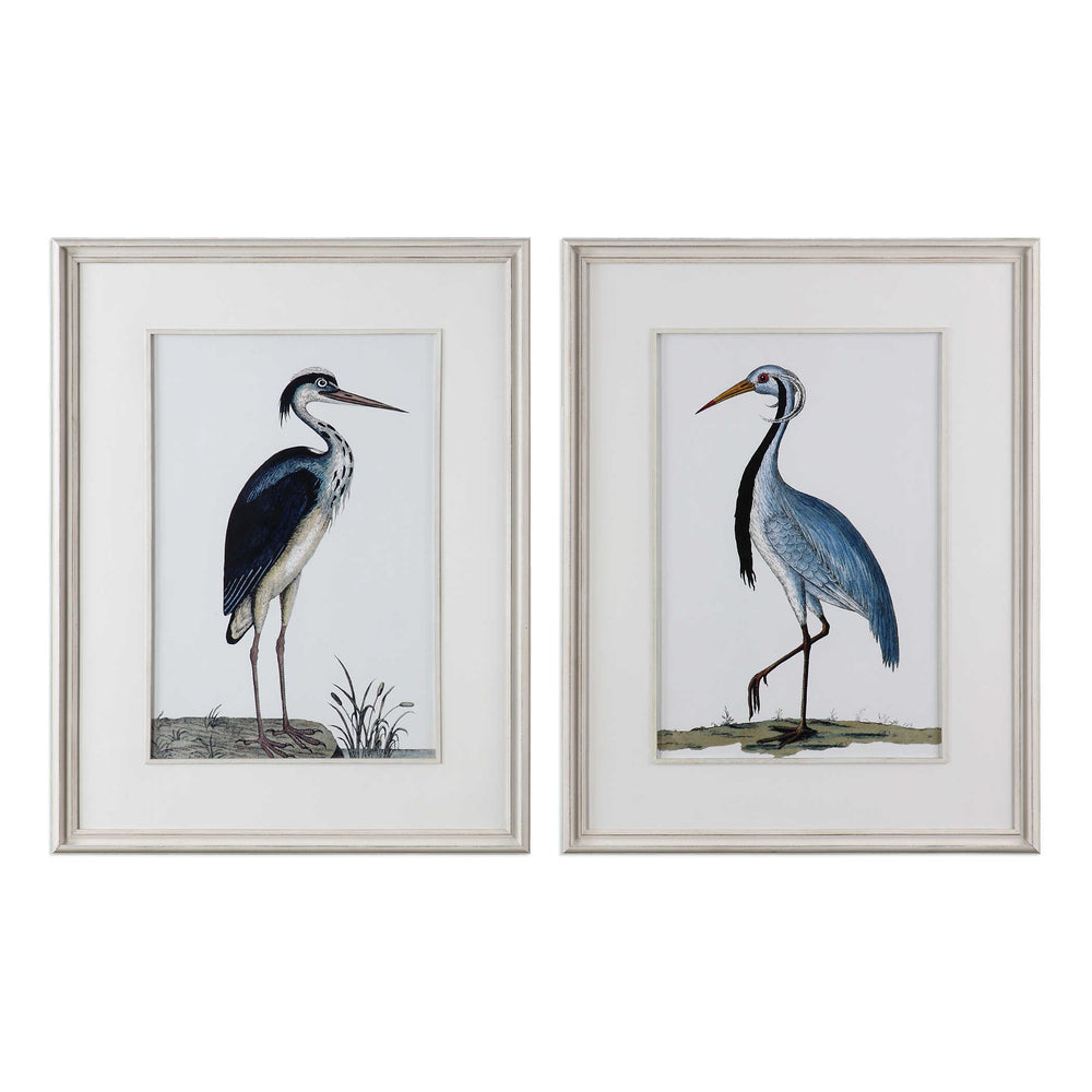 Uttermost Shore Birds Framed Prints S/2 Wall Decor Uttermost PINE, GLASS, KT BOARD  