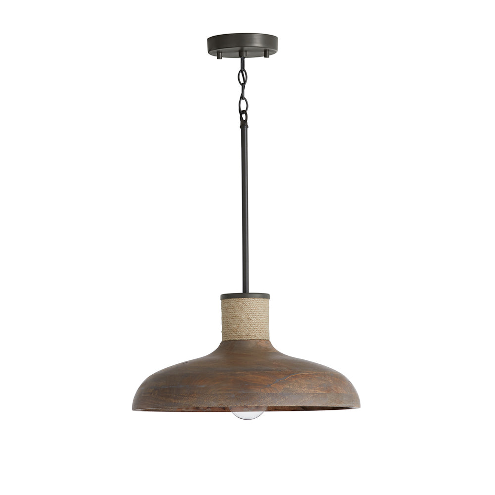 Capital 1 Light Pendant 340312 Pendants Capital Combination Finishes  