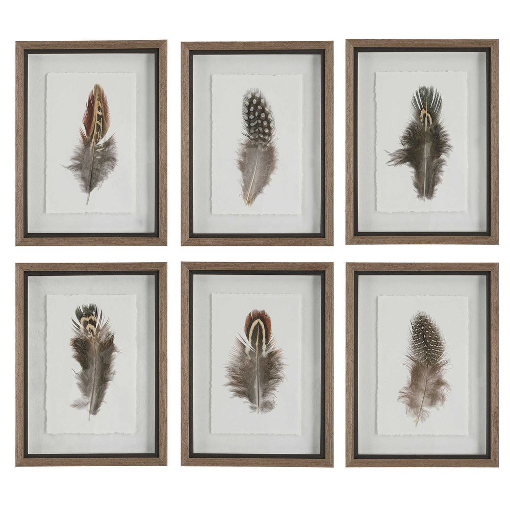 Uttermost Birds Of A Feather Framed Prints, S/6 Wall Decor Uttermost PLASTIC, GLASS, PAPER  