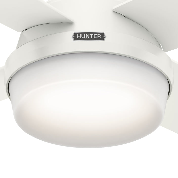 Hunter 44 inch Dempsey Ceiling Fan with LED Light Kit and Handheld Remote Indoor Ceiling Fans Hunter Fresh White Blonde Oak / Fresh White Painted Cased White