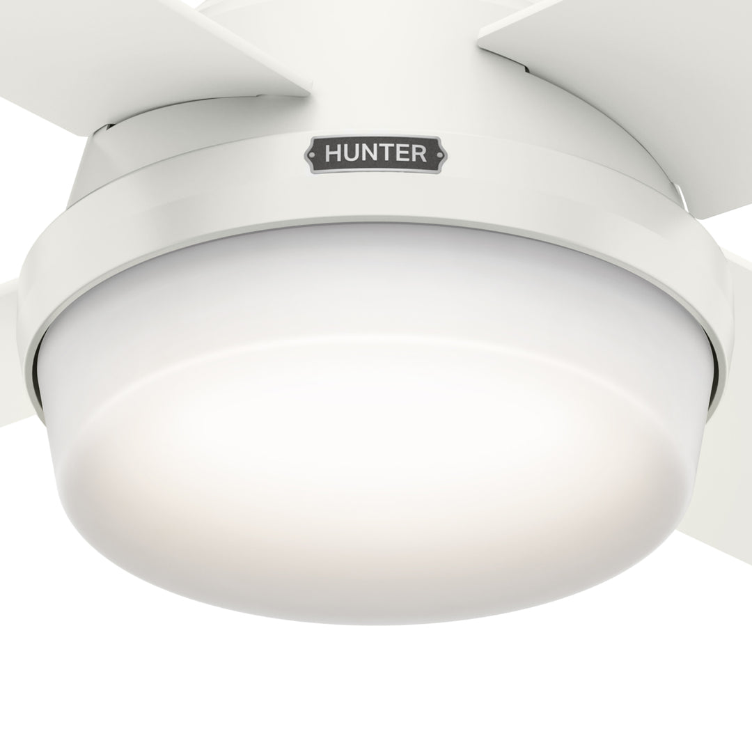 Hunter 44 inch Dempsey Ceiling Fan with LED Light Kit and Handheld Remote Indoor Ceiling Fans Hunter