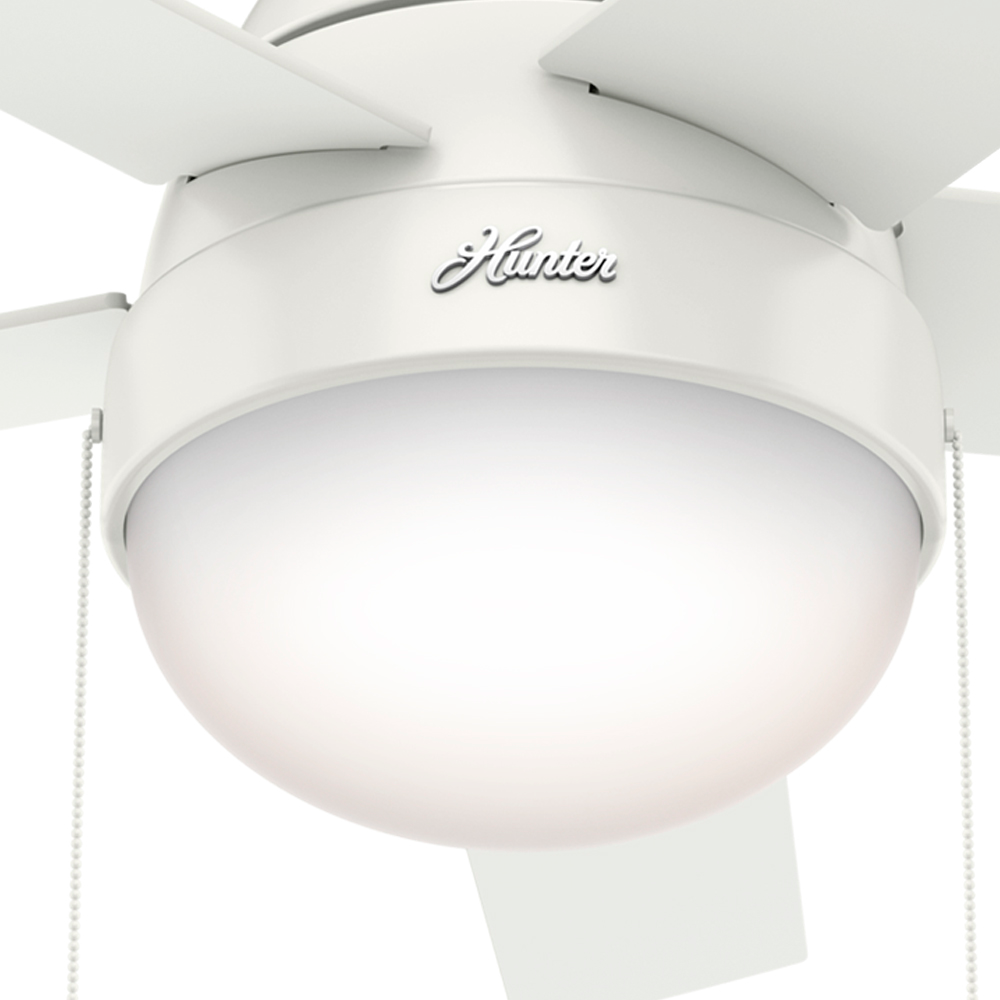Hunter 46 inch Anslee Ceiling Fan with LED Light Kit and Pull Chain