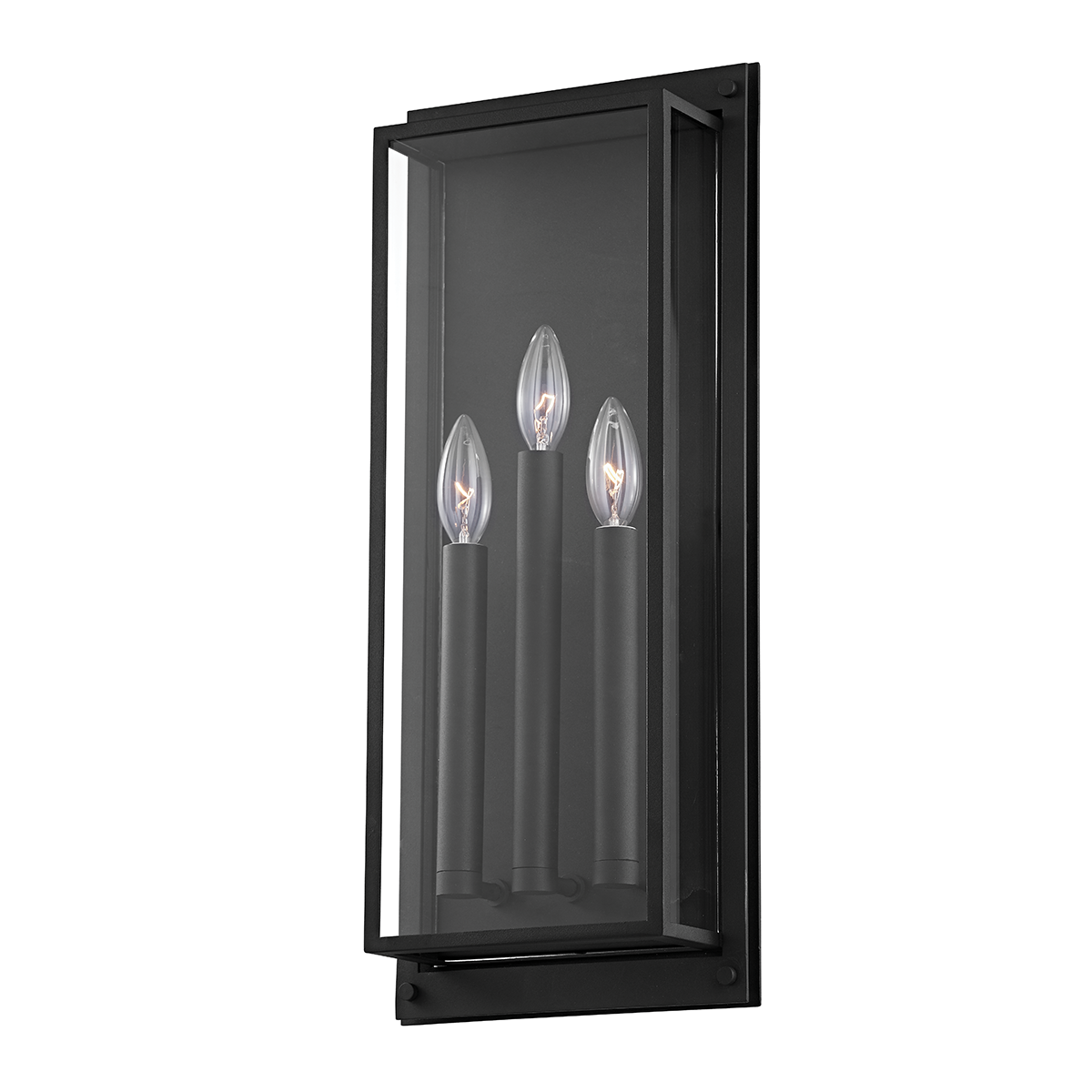 Troy Lighting 1 LIGHT LARGE EXTERIOR WALL SCONCE B9103