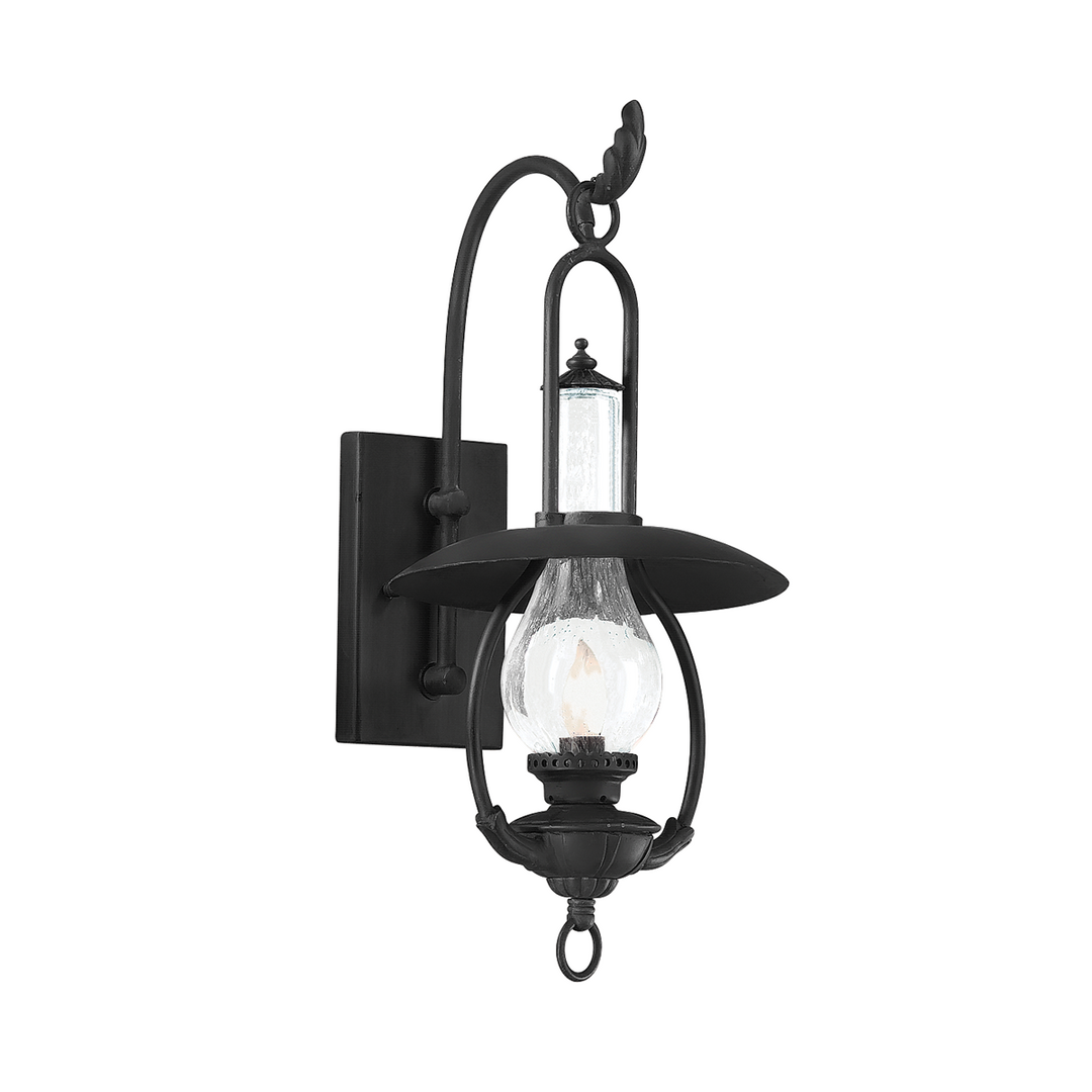 Troy Lighting LA GRANGE 1LT WALL LANTERN MEDIUM BCD9010 Outdoor Wall Lights Troy Lighting OLD BRONZE  