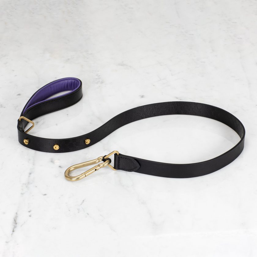 Buster + Punch Dog Leash Pet Accessories Buster + Punch Black / Purple / Brass .6" 