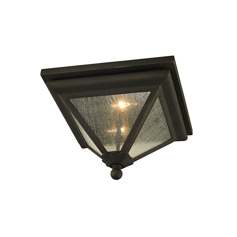 Troy Lighting GENEVA 2LT FLUSH C6470