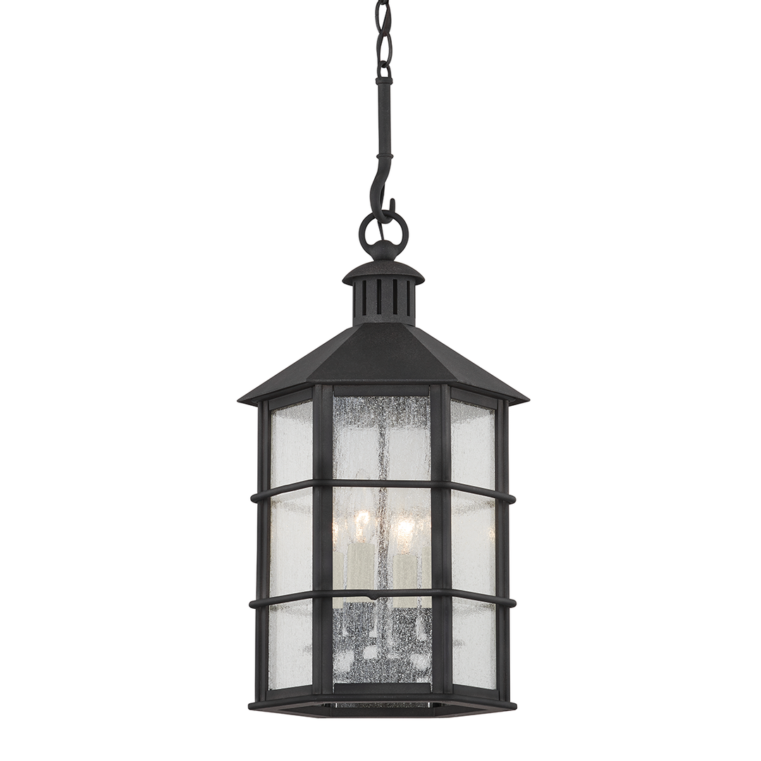 Troy Lighting 4 LIGHT EXTERIOR LANTERN F2526 Pendants Troy Lighting FRENCH IRON  