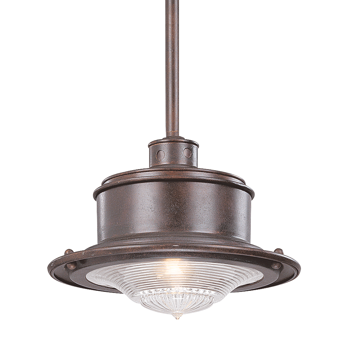 Troy Lighting SOUTH STREET 1LT HANGING DOWNLIGHT LARGE OLD RUST F9397 Outdoor Light Fixture l Hanging Troy Lighting OLD RUST  