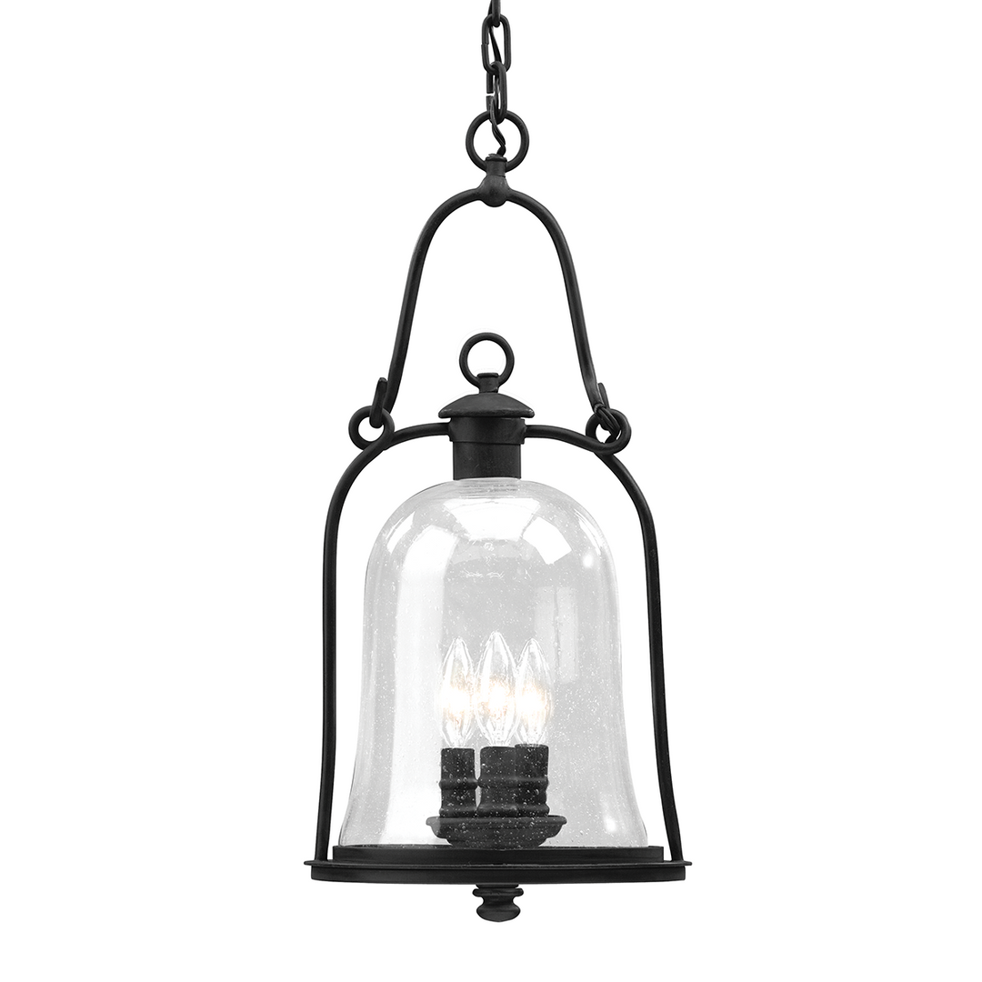 Troy Lighting OWINGS MILL 3LT HANGING LANTERN LARGE F9467 Outdoor Hanging Lights Troy Lighting NATURAL BRONZE  