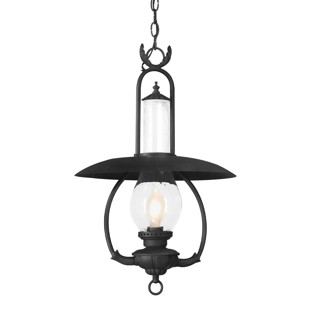 Troy Lighting LA GRANGE 1LT HANGING LANTERN LARGE FCD9013 Outdoor Hanging Lights Troy Lighting OLD BRONZE  