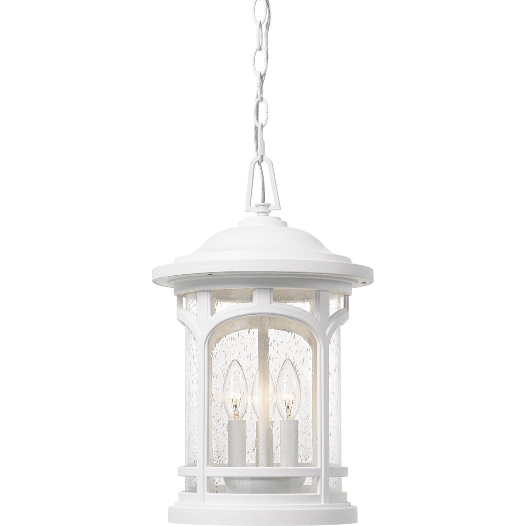 Quoizel  Marblehead Outdoor Lantern, Hanging Outdoor Hanging Lights Quoizel   