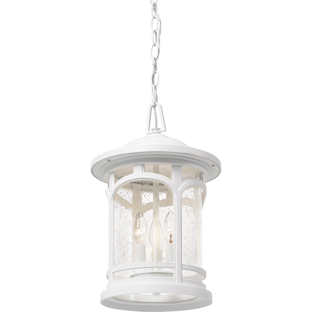 Quoizel  Marblehead Outdoor Lantern, Hanging Outdoor Hanging Lights Quoizel   