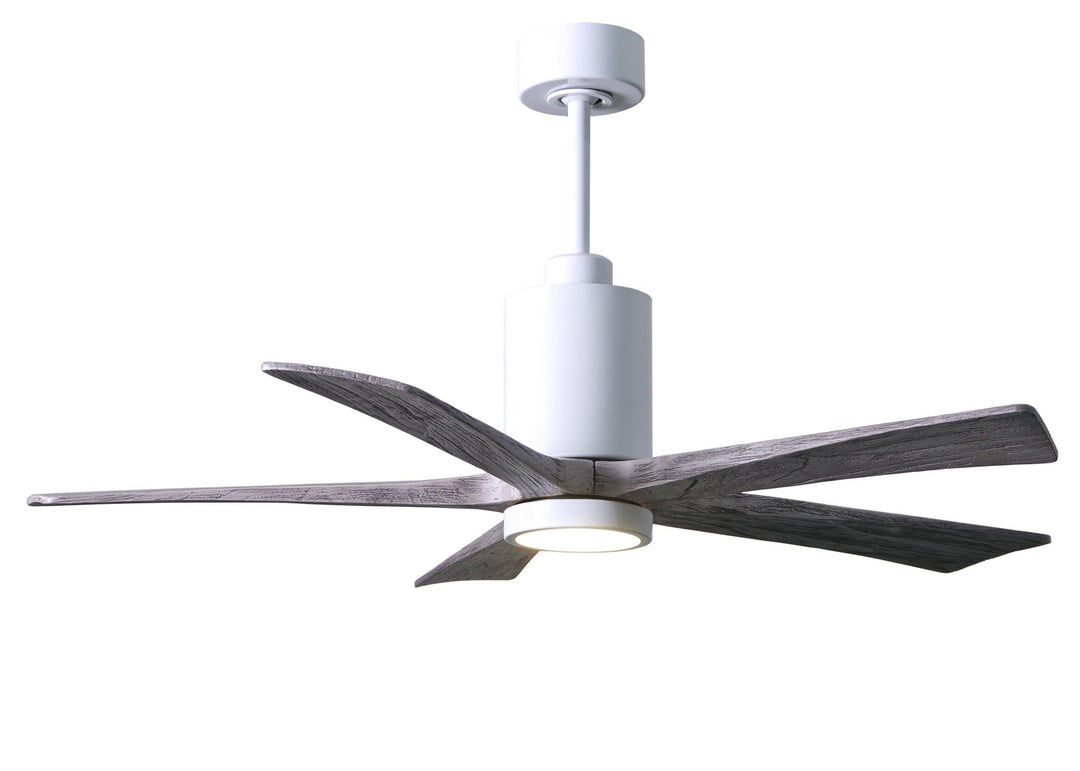 Matthews Fan Company Patricia-5 Five Blade with Light Kit PA5 Indoor Ceiling Fans Matthews Fan Company   