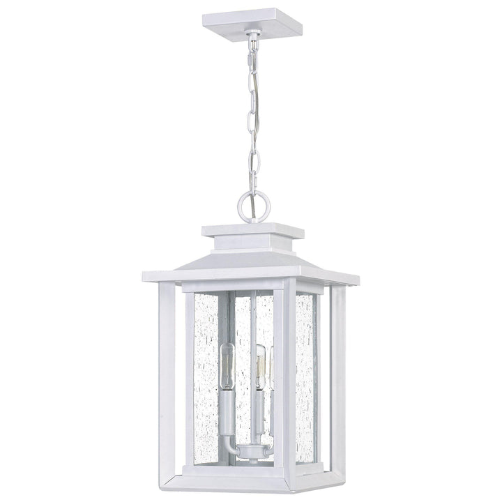 Quoizel  Wakefield Outdoor Lantern, Hanging Outdoor Hanging Lights Quoizel   