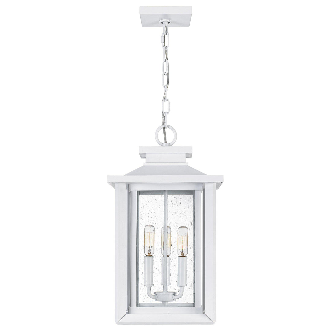 Quoizel  Wakefield Outdoor Lantern, Hanging Outdoor Hanging Lights Quoizel   