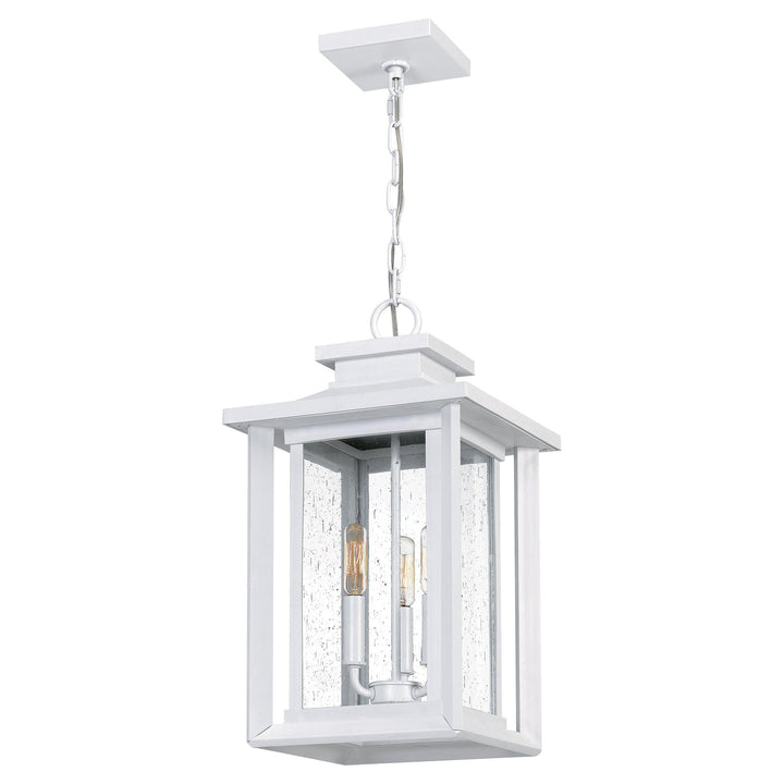 Quoizel  Wakefield Outdoor Lantern, Hanging Outdoor Hanging Lights Quoizel   