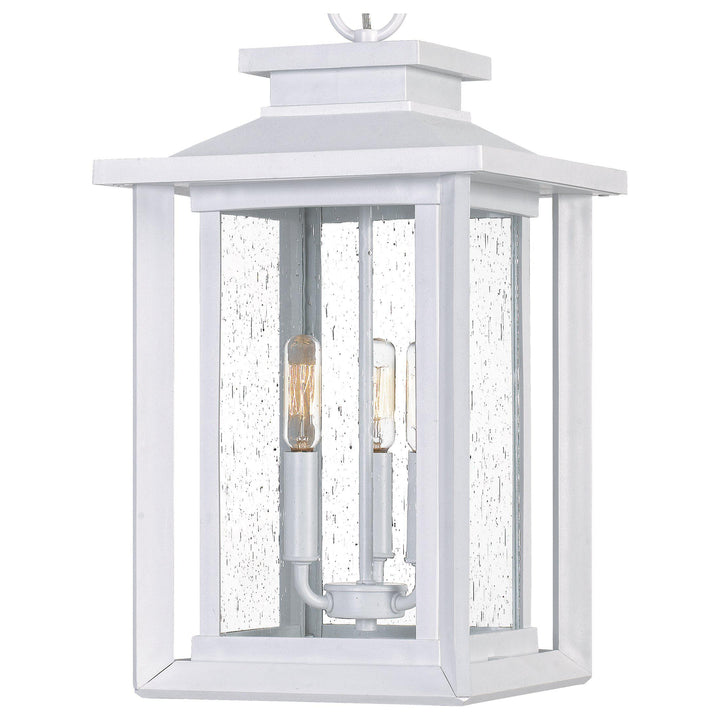 Quoizel  Wakefield Outdoor Lantern, Hanging Outdoor Hanging Lights Quoizel   