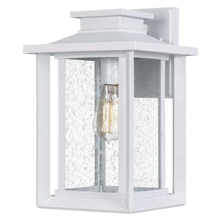 Quoizel  Wakefield Outdoor Lantern, Medium Outdoor Wall Lights Quoizel White Lustre  