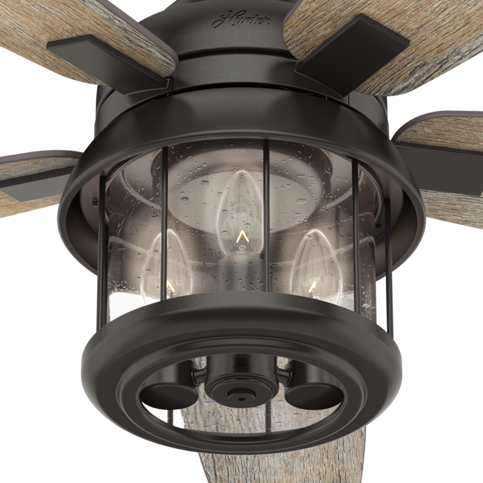 Hunter 52 inch Coral Bay Damp Rated Ceiling Fan with LED Light Kit and Handheld Remote Ceiling Fan Hunter Noble Bronze Barnwood / Drifted Oak Clear Seeded