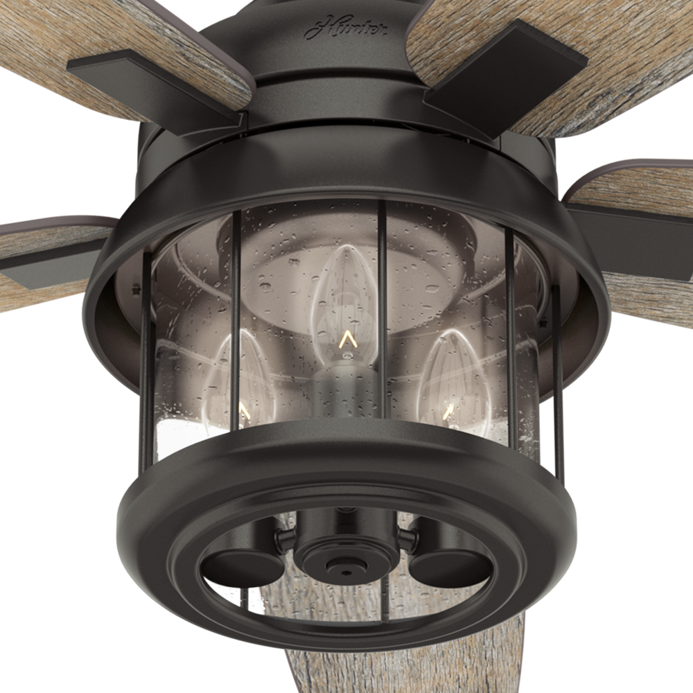 Hunter 52 inch Coral Bay Damp Rated Ceiling Fan with LED Light Kit and Handheld Remote