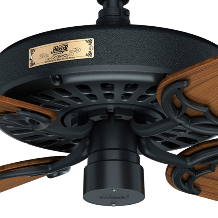 Hunter 52 inch Hunter Original Damp Rated Ceiling Fan and Pull Chain Indoor Ceiling Fans Hunter Matte Black Teak / Teak 