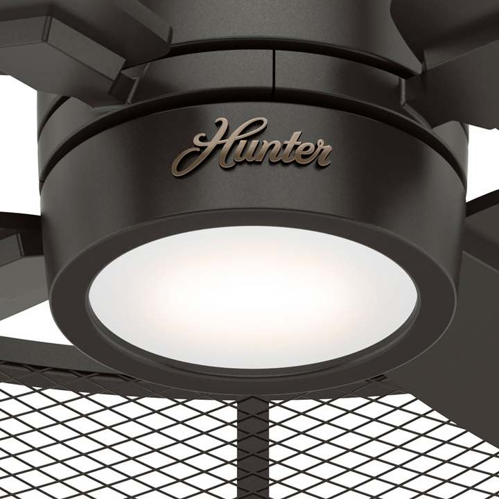 Hunter 21 inch Ceiling Fan with LED Light Kit and Wall Control Indoor Ceiling Fans Hunter   