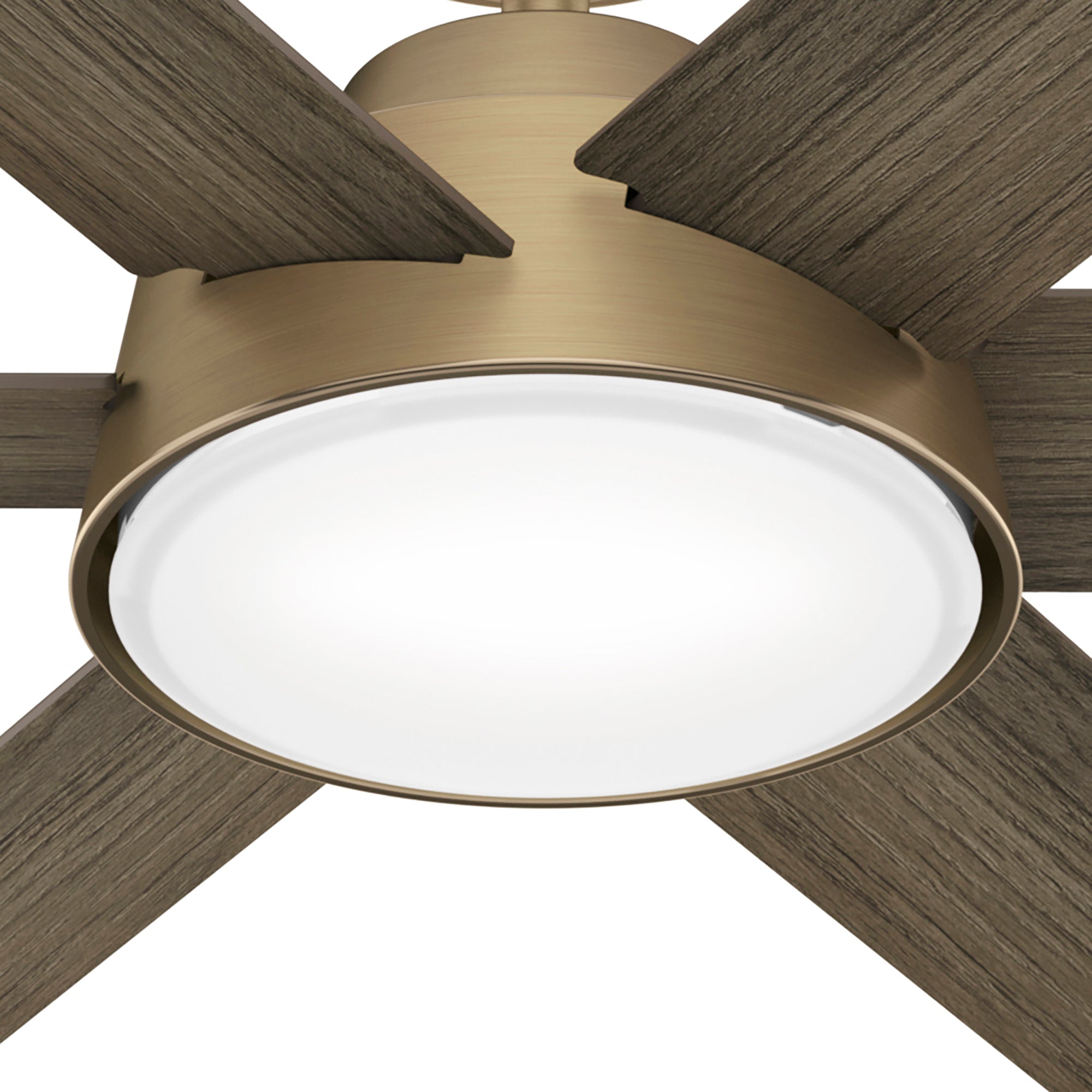 Hunter 52 inch Donatella Ceiling Fan with LED Light Kit and Handheld Remote Ceiling Fan Hunter Luxe Gold Warm Grey Oak / Painted Cased White