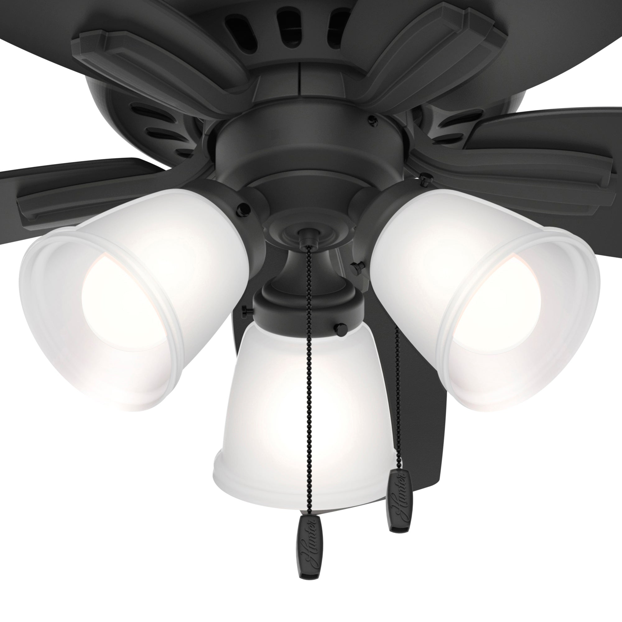 Hunter 42 inch Newsome Ceiling Fan with LED Light Kit and Pull Chain