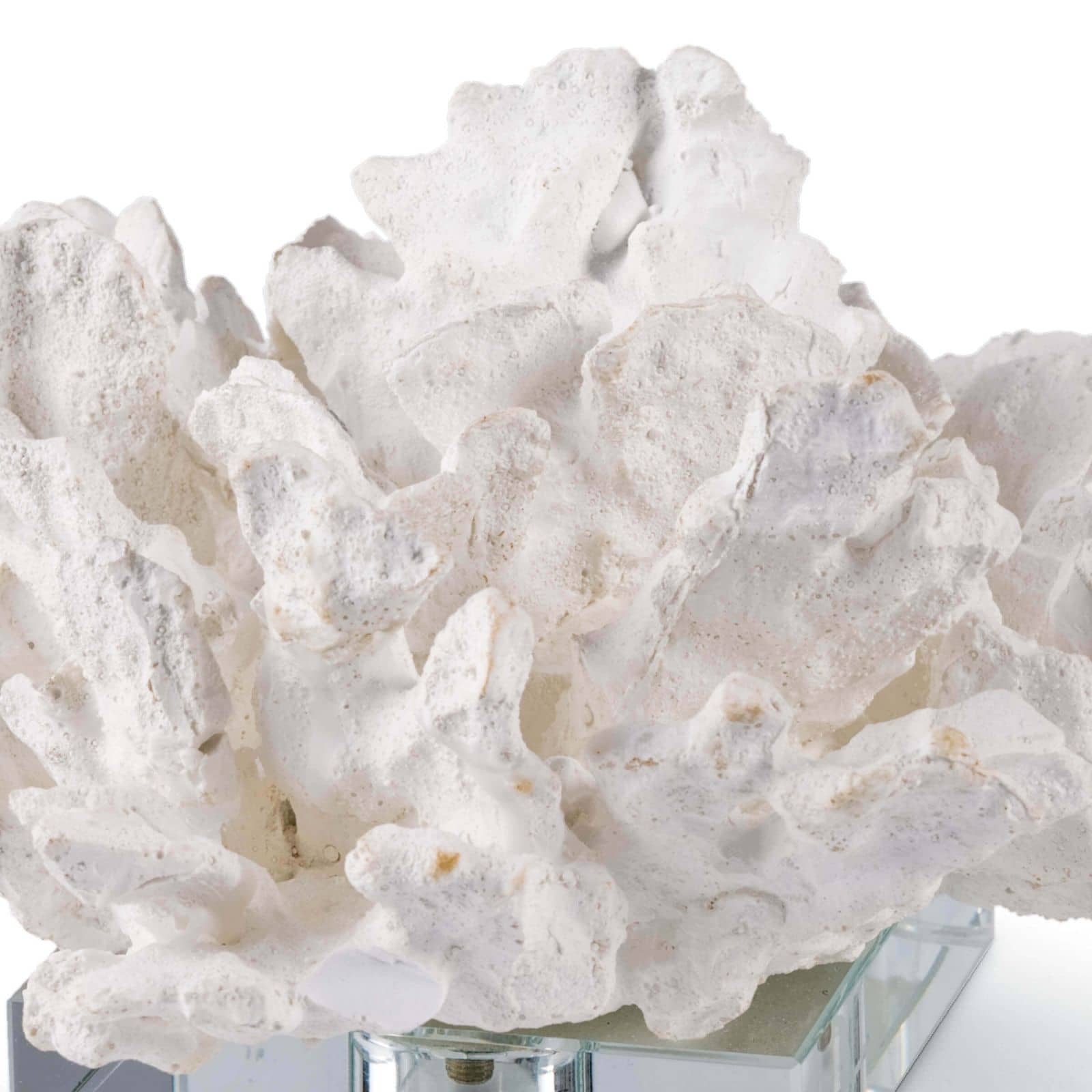 Regina Andrew Flower Coral On Crystal Base (White)