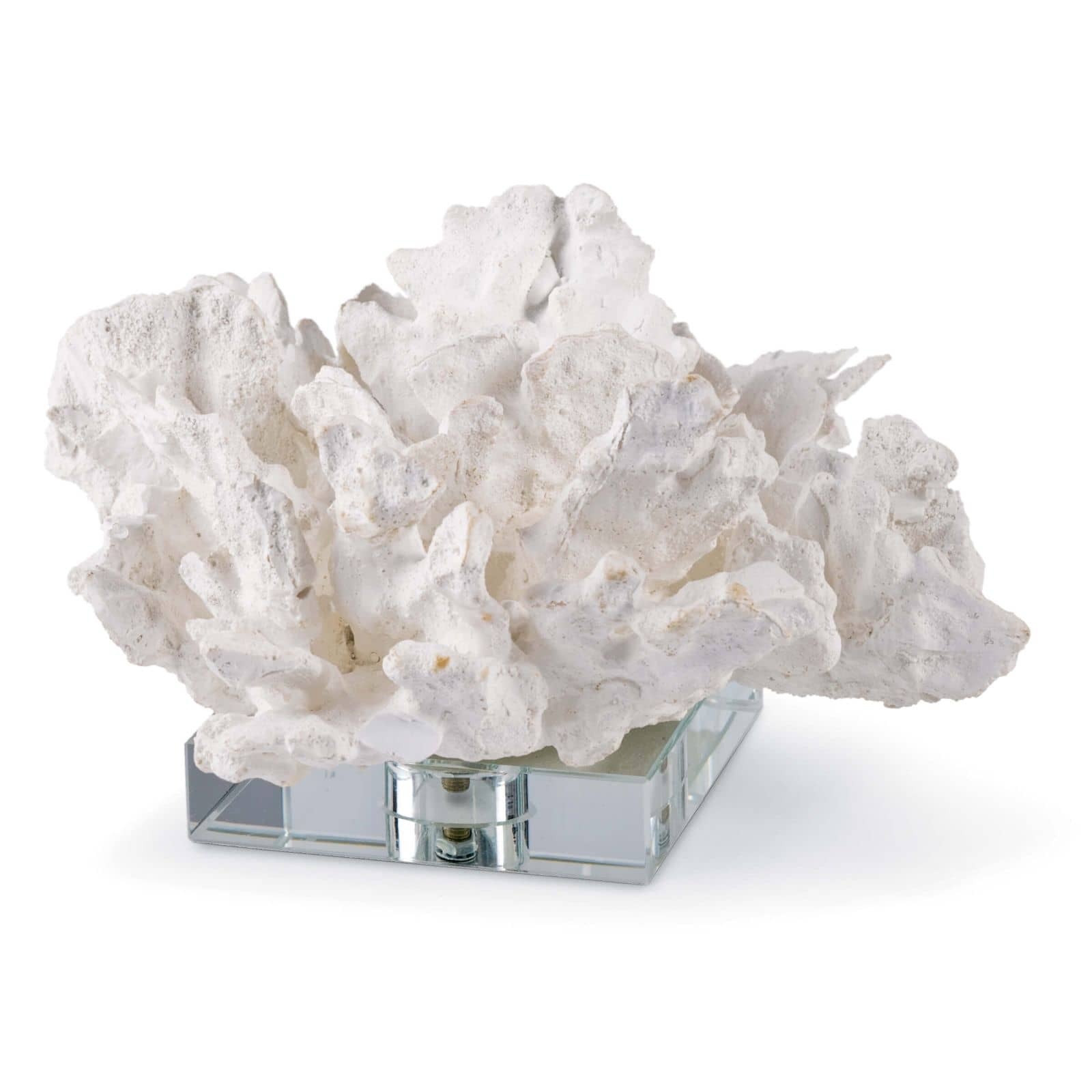 Regina Andrew  Flower Coral On Crystal Base (White) Décor/Home Accent Regina Andrew White  