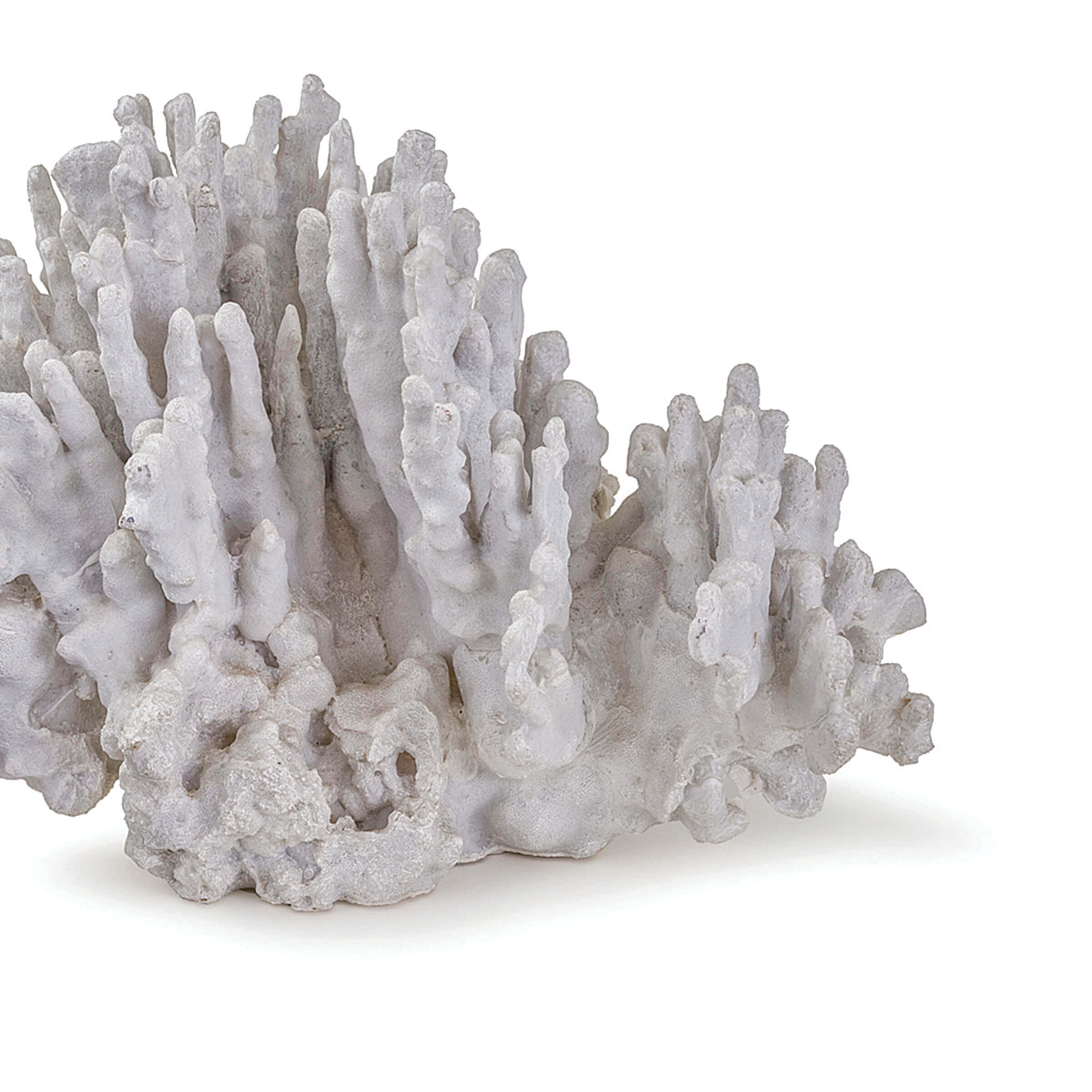 Regina Andrew Coral Art Piece Large (White)
