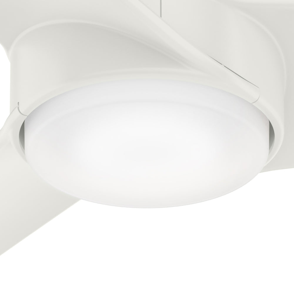 Hunter 54 inch Havoc Indoor / Outdoor Ceiling Fan with LED Light Kit and Wall Control Indoor Ceiling Fans Hunter Fresh White Fresh White / Fresh White Cased White