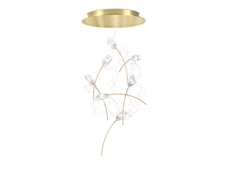 SLAMP TULIP 7 ROUND SUSPENSION Pendants Slamp PRISMA/BRASS  