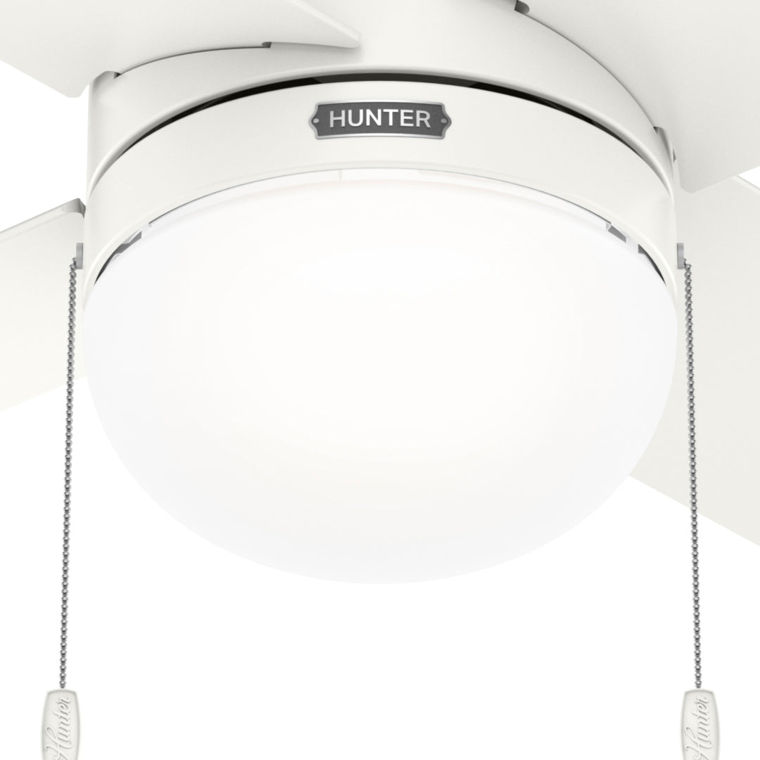 Hunter 52 inch Timpani Ceiling Fan with LED Light Kit and Pull Chain Ceiling Fan Hunter Fresh White Fresh White / Fresh White Painted Cased White